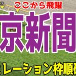 東京新聞杯2025 枠順確定後シミュレーション【競馬予想】【展開予想】ブレイディヴェーグ ボンドガール ウォーターリヒト ジュンブロッサム オフトレイル サクラトゥジュール ジオグリフ