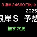 【競馬予想】　根岸ステークス　2025  予想