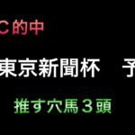 【競馬予想】　東京新聞杯　2025  予想