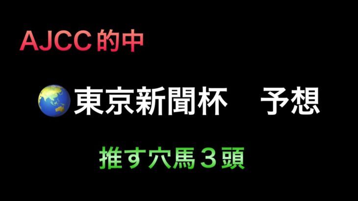 【競馬予想】　東京新聞杯　2025  予想