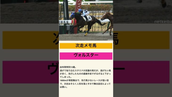 ヴォルスター！こんなところで終わっていいのか！#2025 #競馬#競馬予想#ヴォルスター