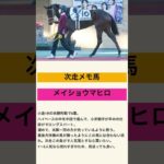 メイショウマヒロ！次こそ穴を開けます。#2025 #競馬#競馬予想#メイショウマヒロ