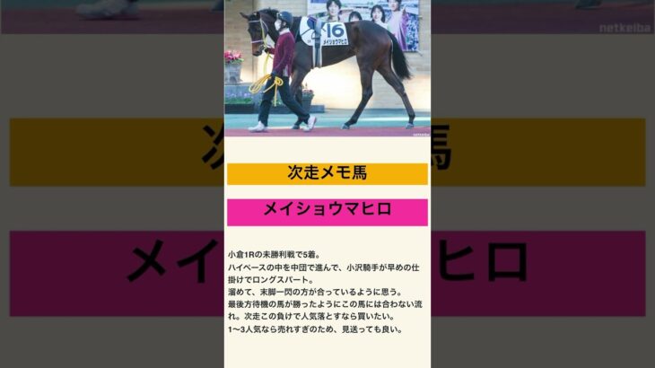 メイショウマヒロ！次こそ穴を開けます。#2025 #競馬#競馬予想#メイショウマヒロ