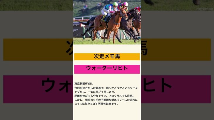 ウォーターリヒト！確かな手応えあり！#2025 #競馬#競馬予想#ウォーターリヒト