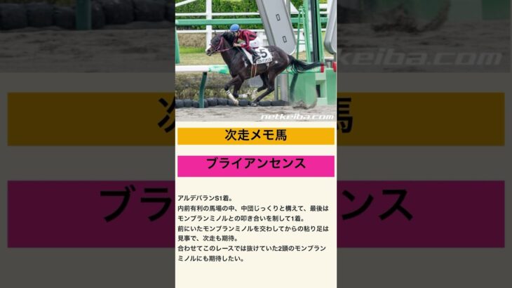 ブライアンセンス！次走もセンスがキラリ！#2025 #競馬#競馬予想#ブライアンセンス