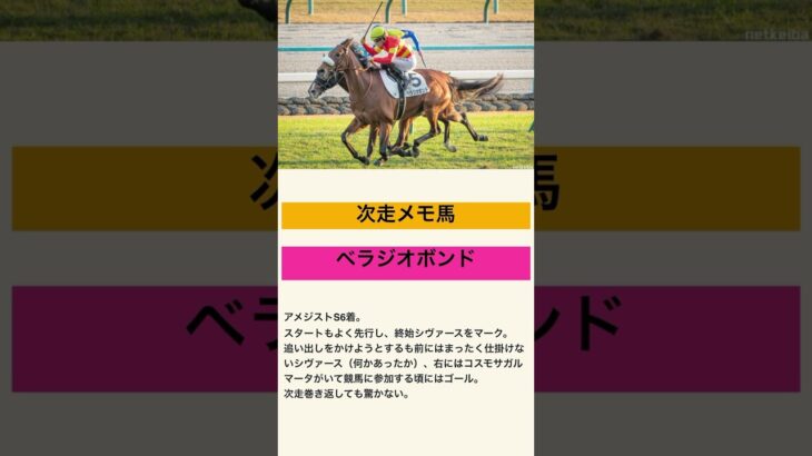 仕方のない敗戦。ベラジオボンド！#2025 #競馬#競馬予想#ベラジオボンド