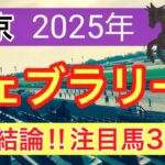 【フェブラリーステークス2025】蓮の競馬予想(最終結論)