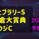 【競馬予想】　フェブラリーステークス　小倉大賞典　サウジカップ　予想　2025