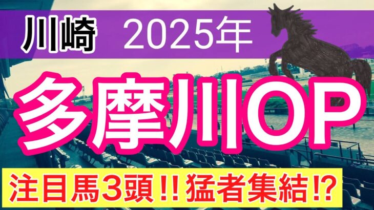 【多摩川オープン2025】蓮の地方競馬予想