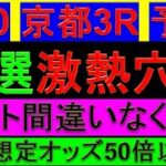 2025年 2月10日 京都3R 予想【厳選平場予想/この人気なら狙うべきだと思う/京都3レース】