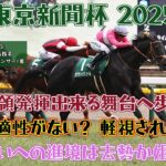 東京新聞杯 2025 競馬予想【本領発揮出来る舞台が遂に？ 舐められすぎた評価の2頭？】注目馬3頭紹介