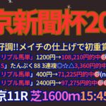 東京新聞杯2025予想【東京競馬】メイチの仕上げで初重賞制覇へ!!全頭診断＋調教診断＋買い目