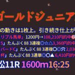 ゴールドジュニア2025予想【笠松競馬】全頭診断＋調教診断＋買い目