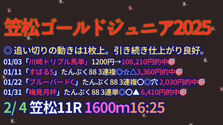 ゴールドジュニア2025予想【笠松競馬】全頭診断＋調教診断＋買い目