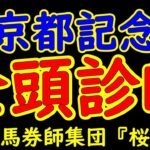 京都記念2025一週前レース予想全頭診断！チェルヴィニアの始動戦で大いに注目が集まる！今の京都は雪の影響で見た目以上に馬場が荒れており荒れ馬場巧者も含めて注目できる馬は？