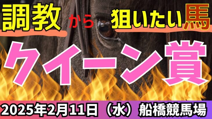 【クイーン賞 2025】少数精鋭！今年はビタで当てたいクイーン賞【競馬予想】