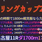 スプリングカップ2025予想【名古屋競馬】全頭診断＋調教診断＋買い目