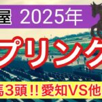 【スプリングカップ2025】蓮の地方競馬予想