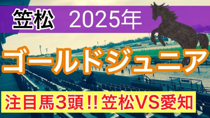 【ゴールドジュニア2025】蓮の地方競馬予想(笠松)