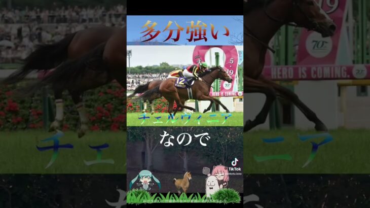 京都記念2025競馬予想