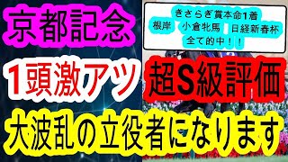 【競馬予想】京都記念2025　チェルヴィニアかソールオリエンスのどちらかは超危険！？　雪の影響で馬場が荒れてる京都で好走出来る穴馬が見つかりました！！