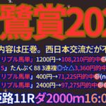 白鷺賞2025予想【姫路競馬】全頭診断＋調教診断＋買い目