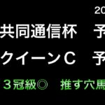 【競馬予想】　共同通信杯　クイーンカップ　予想　2025