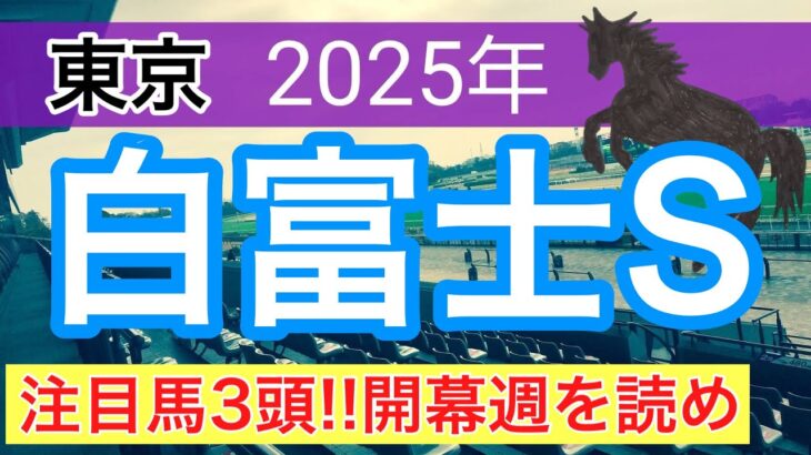 【白富士ステークス2025】蓮の競馬予想