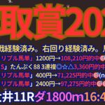 雲取賞2025予想【大井競馬】全頭診断＋調教診断＋買い目