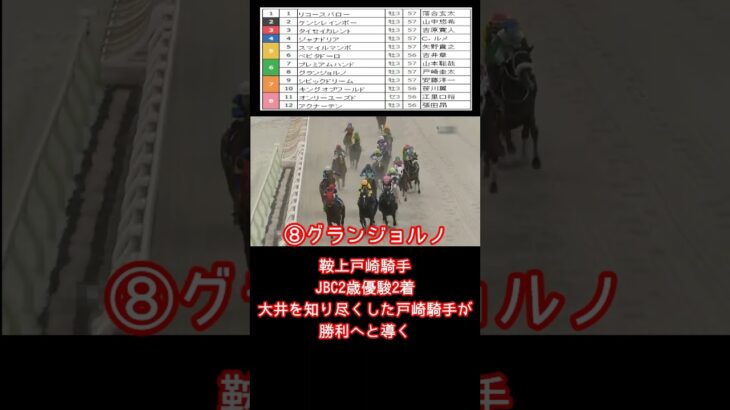 【雲取賞2025】大井競馬での勝利への道を鬼絞り予想した結果