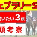 【フェブラリーステークス2025】＜全頭考察＞コスタノヴァ、エンペラーワケアにも懸念材料あり。ここまで人気がないなら厳選推奨したい穴含め絶対に買いたい推奨３頭！