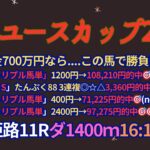 兵庫ユースカップ2025予想【姫路競馬】全頭診断＋調教診断＋買い目