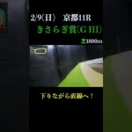 【買っちゃえばいいじゃん】きさらぎ賞(ＧⅢ) 2025 #競馬予想 #WIN5