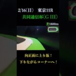 【買っちゃえばいいじゃん】共同通信杯(ＧⅢ) 2025 #競馬予想 #WIN5