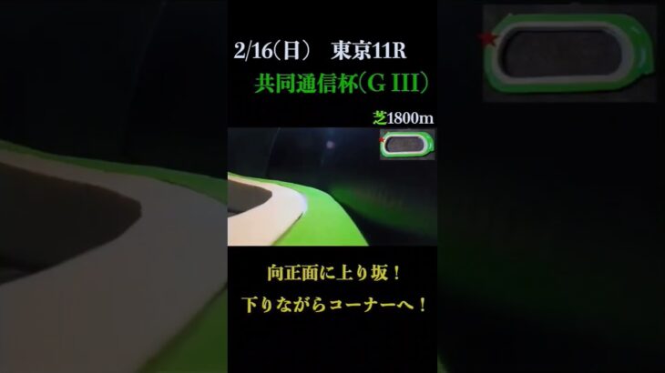 【買っちゃえばいいじゃん】共同通信杯(ＧⅢ) 2025 #競馬予想 #WIN5