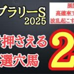 【フェブラリーステークス2025】厳選穴馬予想！想定する展開や今までのパフォーマンスから激走の可能性秘める2頭を公開！