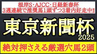 【東京新聞杯2025】厳選穴馬予想！想定する展開や近走のパフォーマンスから激走の可能性秘める2頭を公開！