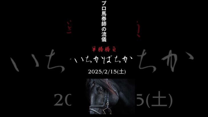 いちかばちか　2025/2/15 競馬予想