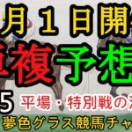 【単複平場予想】2025年2月1日JRA平場戦！東京メイン白富士ステークスは大穴から！巌流島ステークスなど妙味ある馬を狙っていくコーナー！平場・特別戦を楽しむ11頭！