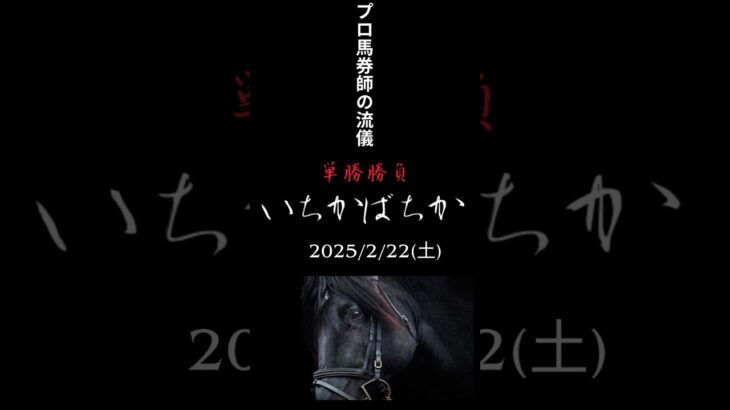 いちかばちか　2025/2/22 競馬予想