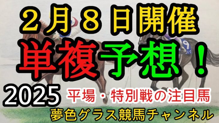 【単複平場予想】2025年2月8日JRA平場戦！早春ステークス、豊前ステークスなど妙味ある馬を狙っていくコーナー！平場・特別戦を楽しむ12頭！