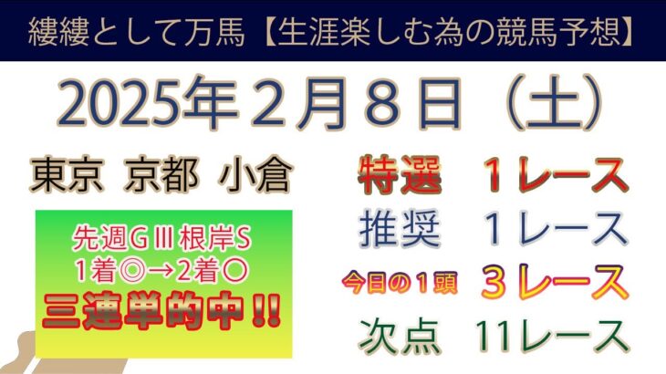 2025年2月８日土曜日競馬予想＃競馬＃平場予想＃中央競馬＃JRA＃競馬予想＃平場予想