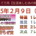 2025年2月９日日曜日競馬予想＃競馬＃平場予想＃中央競馬＃JRA＃競馬予想＃平場予想＃重賞予想＃東京新聞杯＃きさらぎ賞