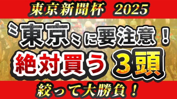 【東京新聞杯2025】東京競馬場に潜む罠とは？そこで買いたい3頭を紹介！