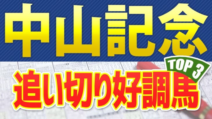 【中山記念2025】追い切りが高評価だった「トップ3」はこの馬だ🐴 ～JRA競馬予想～