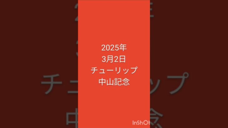 #競馬 #チューリップ賞 #中山記念 #競馬予想 2025年3月2日