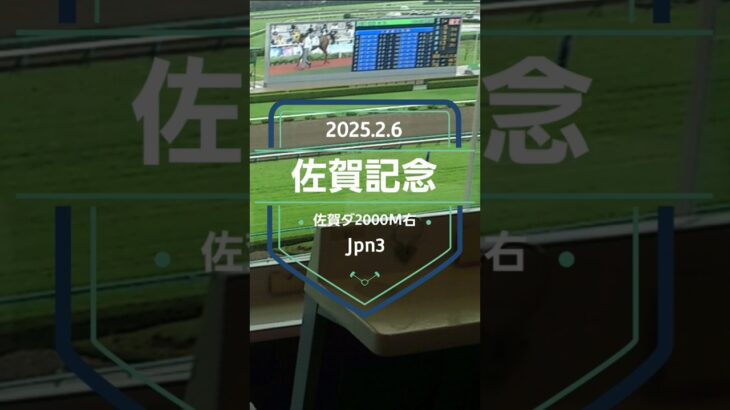 【佐賀記念 2025】上位5頭予想！佐賀競馬で歴史ある重賞、佐賀記念の開催です。2009年以降、地方馬は馬券圏内に来てませんが、今年はどうか……