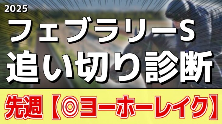 追い切り徹底解説！【フェブラリーステークス2025】ミッキーファイト、コスタノヴァなどの状態はどうか？調教S評価は2頭！