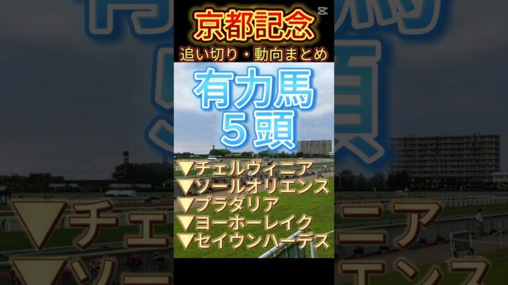【京都記念 2025】１週前追い切り　#競馬予想　#shorts　#競馬　#京都記念　#チェルヴィニア　#ソールオリエンス