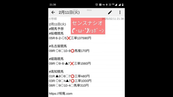 2月11日(火) #競馬予想 #船橋競馬 #名古屋競馬 #姫路競馬 #高知競馬